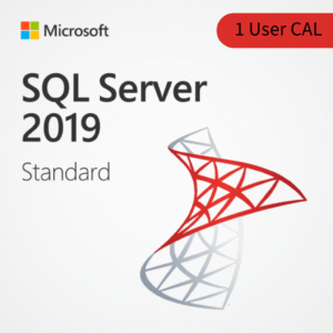 Microsoft SQL Server 2019 Standard – 1 User CAL